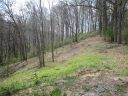 15 R Silent Forest Drive sold home in Canton, SC