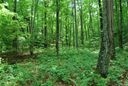 Chc Reserve Road sold home in Pisgah Forest, SC