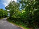 303 Allen Mountain Drive sold home in Black Mountain, SC