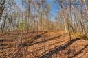 527 Overlook Park Drive 78 Phase III sold home in Hendersonville, SC