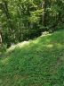 57 Dream Mountain Boulevard #57 sold home in Canton, SC
