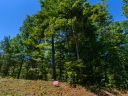 Tbd Nader Avenue 6 sold home in Weaverville, SC