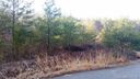 231 Macduff Lane 17 sold home in Weaverville, SC