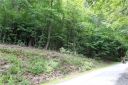 Tbd Wildflower Cove Drive 12 sold home in Swannanoa, SC