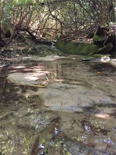 Tbd Galax Lane
