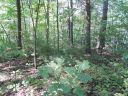 132 Overlook Park Drive sold home in Hendersonville, SC