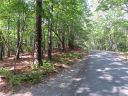 L10 Spanish Oak Drive sold home in Cedar Mountain, SC