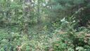 90 R Denman Drive 90-R sold home in Lake Junaluska, SC