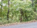 Lot 94 Laurel Ridge sold home in Marshall, SC