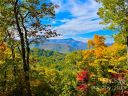 0 Macallan Drive sold home in Waynesville, SC
