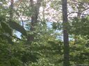 126 Majestic Ridge Drive sold home in Hendersonville, SC