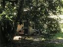5 Pine Tree Road sold home in Asheville, SC