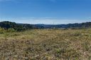 80 Park Avenue sold home in Asheville, SC