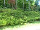 Lot 318 Rolling Ridge Trail 318 2B sold home in Lake Lure, SC