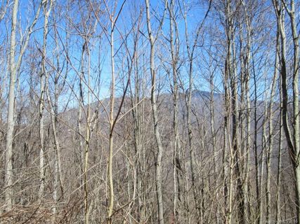 00 Bear Ridge Road