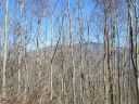 00 Bear Ridge Road sold home in Bakersville, SC