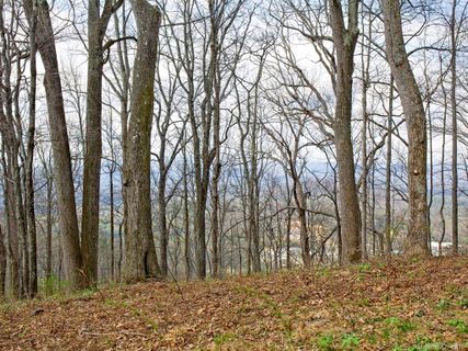 99999 Old Forest Drive Lot 3