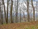 99999 Old Forest Drive Lot 3 sold home in Asheville, SC