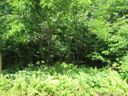 Lot 28 Trails End Road sold home in Little Switzerland, SC
