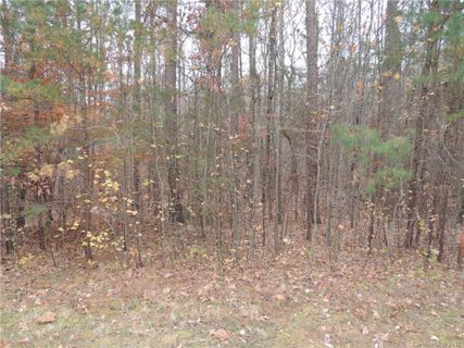 6231 Twining Vine Court sold home in Mountain Vine, Kannapolis, NC