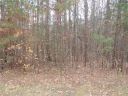 6231 Twining Vine Court sold home in Kannapolis, SC