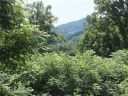 32 Campbell Mountain Drive sold home in Waynesville, SC