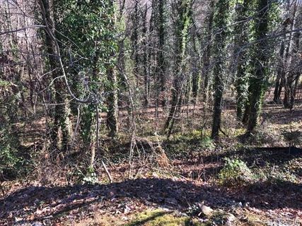 113 Tail Feather Lane 10 sold home in Falconwood, Candler, NC