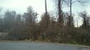 717 Virginia Pine Lane 3 sold home in Clover, SC