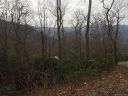 Lot 40 Falcon Crest Loop sold home in Maggie Valley, SC