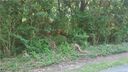 0 Randy Drive 40 sold home in Gastonia, SC