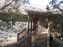 5 Rawlings Run sold home in Flat Rock, SC