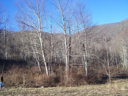 Lot 21 Tizwood Drive sold home in Carvers Crossing, Waynesville, NC