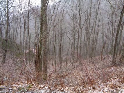 Lot 13 Wolf Laurel Drive