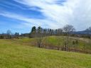 24 Enchanted Oak Lane 23 sold home in Alexander, SC