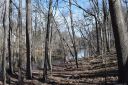 345 Squirrel Lane sold home in Lake Wylie, SC