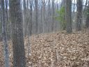 40 Pleasant Hill Circle sold home in Waynesville, SC