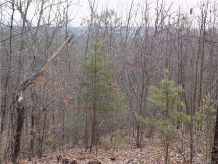 0 Deer Path