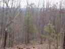 0 Deer Path sold home in Union Mills, SC