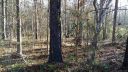 01 A Woodlawn Lane 1,2,3 sold home in Indian Trail, SC