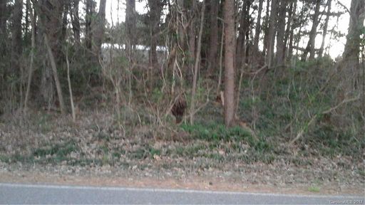 Lot 66 Ponderosa Circle