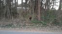 Lot 66 Ponderosa Circle sold home in Mooresville, SC