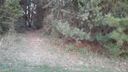 Lot 71 Ponderosa Circle sold home in Mooresville, SC