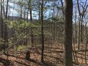 999 Christian Creek Road sold home in Swannanoa, SC