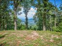 Lot 19 Peregrine Lane sold home in Asheville, SC