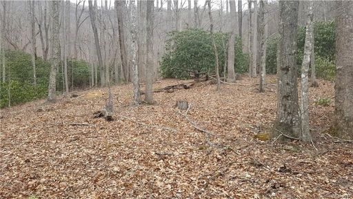 Lot 28 Buckeye Branch Drive