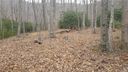 Lot 28 Buckeye Branch Drive sold home in Clyde, SC