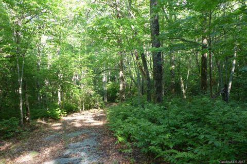 91 B Blue Bird Trail