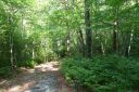 91 B Blue Bird Trail sold home in Brevard, SC