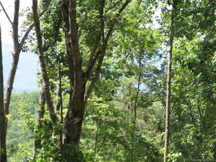 0 Cove Creek Drive sold home in Cove Creek, Rutherfordton, NC