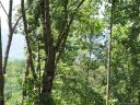 0 Cove Creek Drive sold home in Rutherfordton, SC